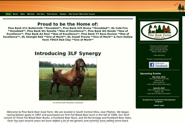 Sunset theme site design template sample