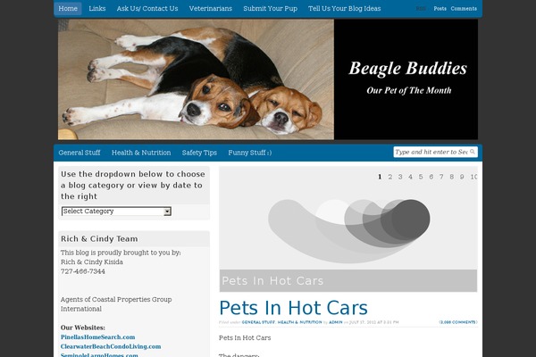 Swift theme site design template sample
