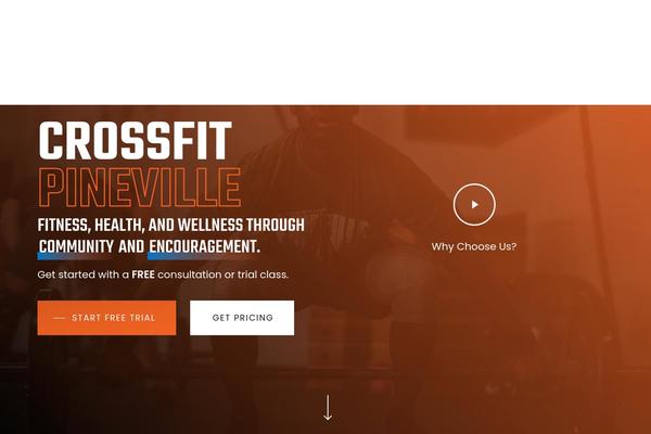 Salient Child theme site design template sample