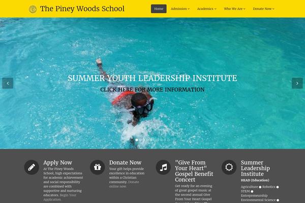 Flat Theme theme site design template sample