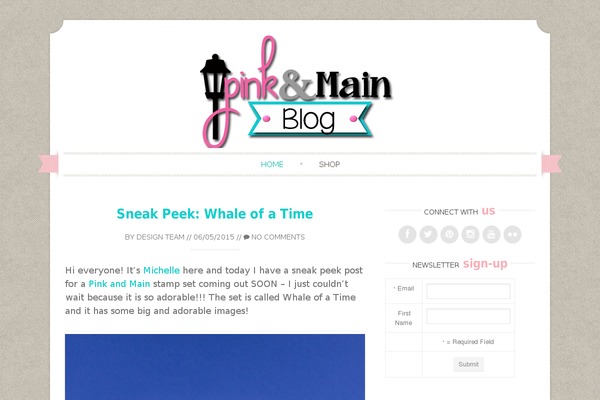 Sugar & Spice pro theme site design template sample