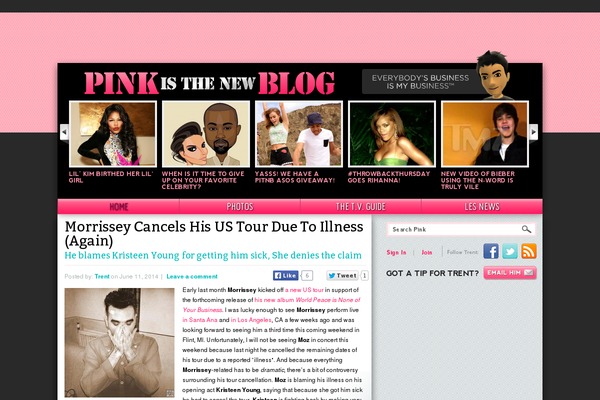 Elegant Pink theme site design template sample