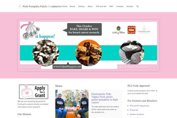 Aid theme site design template sample
