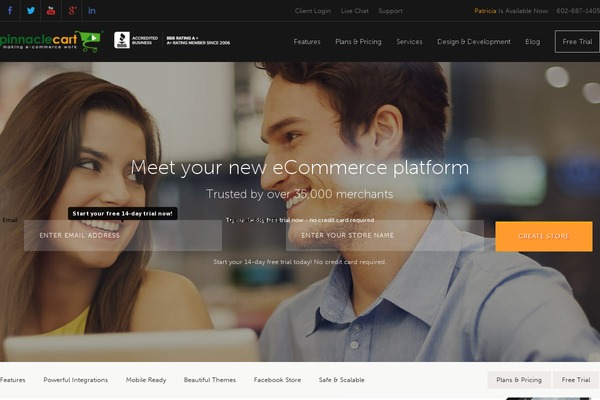 Pinnacle theme site design template sample