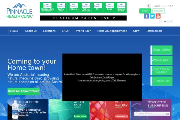 Pinnacle theme site design template sample