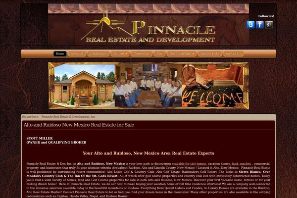 FlexSqueeze 2 theme site design template sample