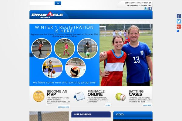 Theme1773 theme site design template sample