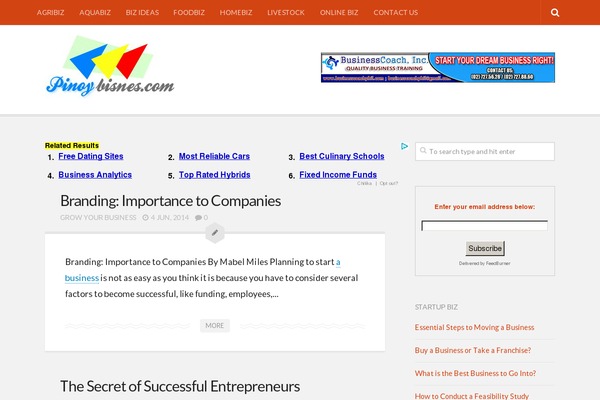 pinoybisnes.com site used Stylizer