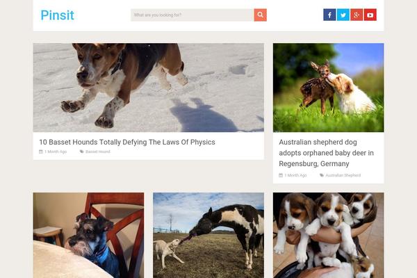 SociallyViral theme site design template sample