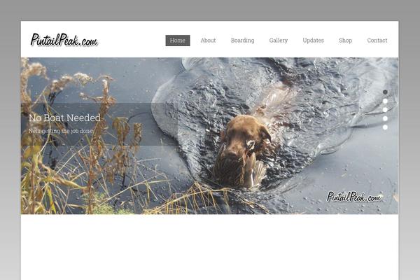 Compasstheme theme site design template sample