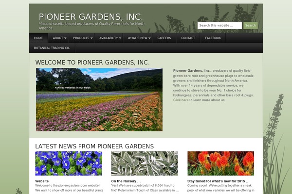 Corporate theme site design template sample
