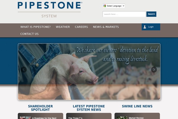 Responsive theme site design template sample