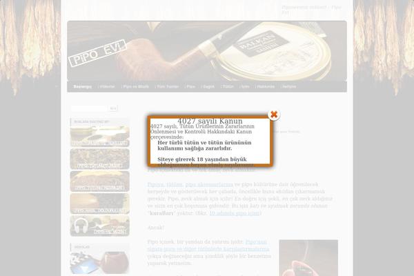 Site using BJ Lazy Load plugin