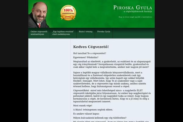 piroskagyula2015 WordPress theme, websites list used piroskagyula2015 theme piroskagyula2015 theme websites examples