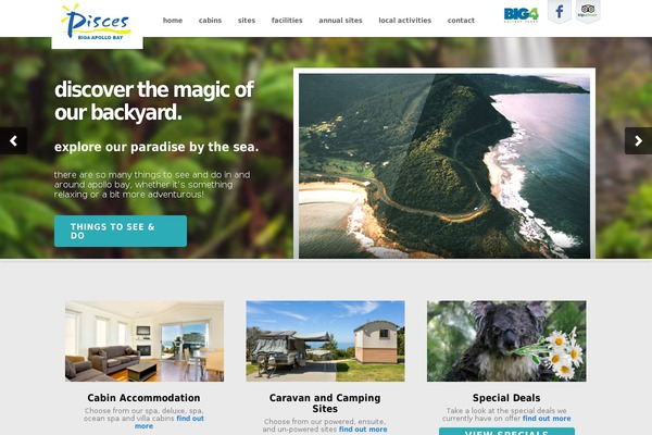 Dynamo theme site design template sample