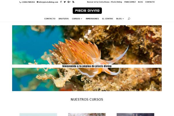 Divi-hijo theme site design template sample