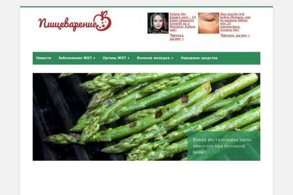Webfactory theme site design template sample