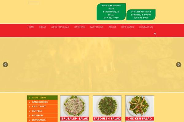 Total Child theme site design template sample