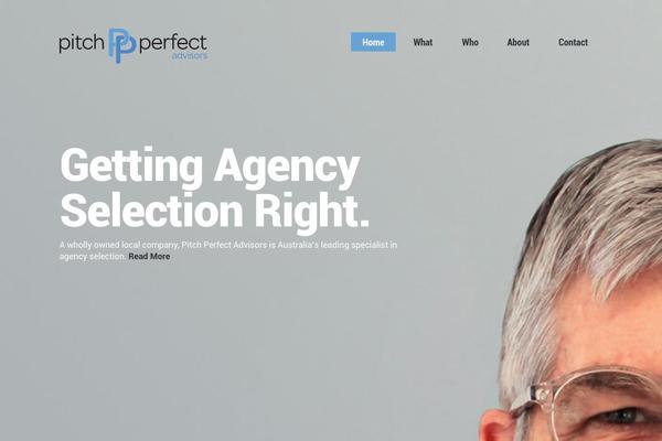 Selfy theme site design template sample