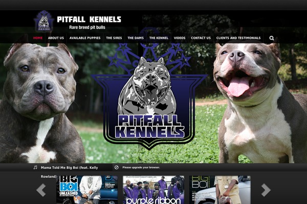 Strings theme site design template sample