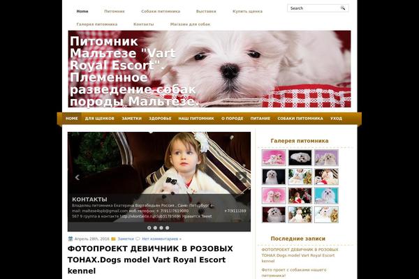 Site using Scrolltotop plugin