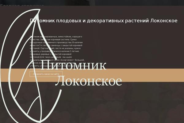 Site using Wp-yandex-metrika plugin