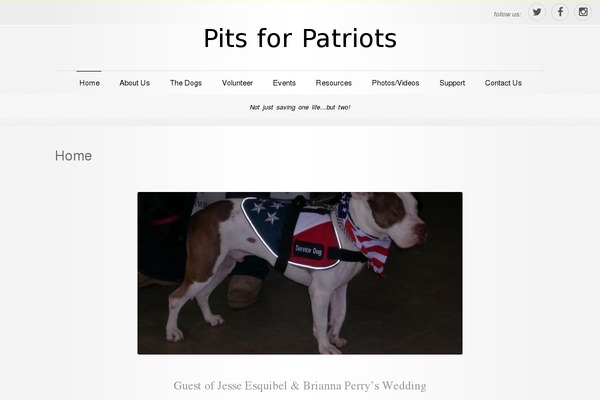 WPspirit-01 theme site design template sample