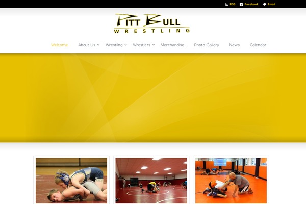 Sterling theme site design template sample