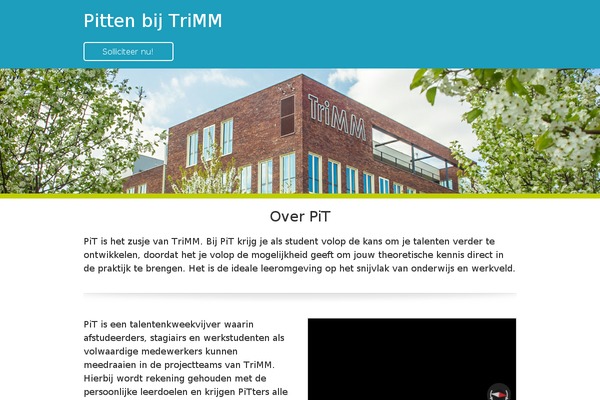 PiT theme websites examples