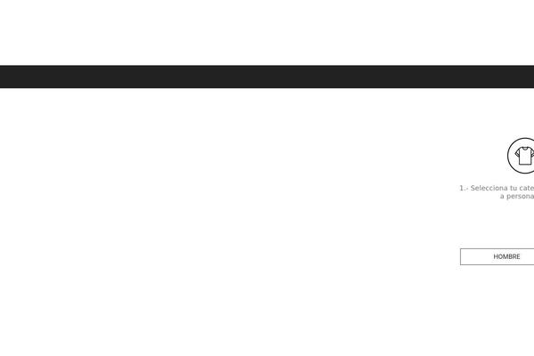 Site using Fancy-product-designer plugin