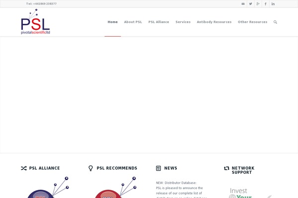 Pivotal theme site design template sample