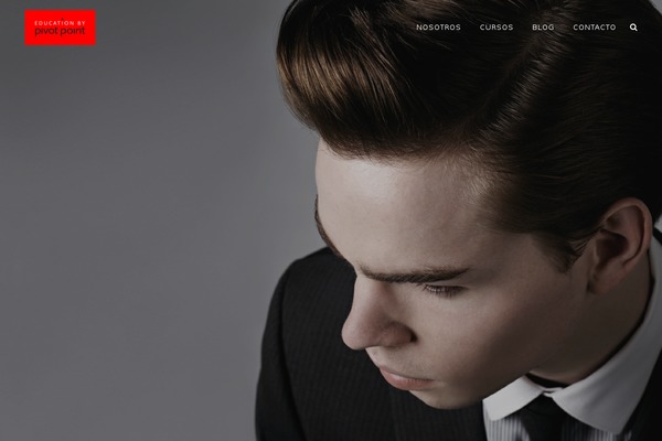 Site using WP Cookie Banner plugin