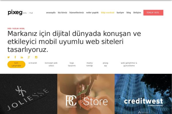 Site using Iyzico-woocommerce plugin