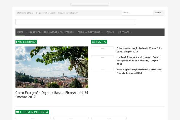 Chaplin theme site design template sample