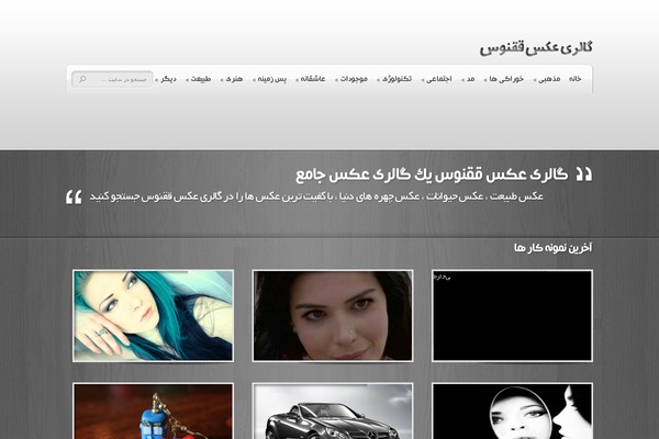 2014 theme site design template sample