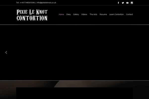 Site using Social-networks-auto-poster-facebook-twitter-g plugin
