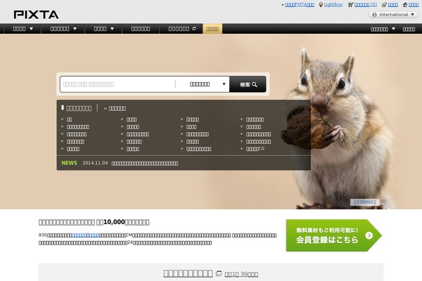Official Bitly for WordPress website example screenshot
