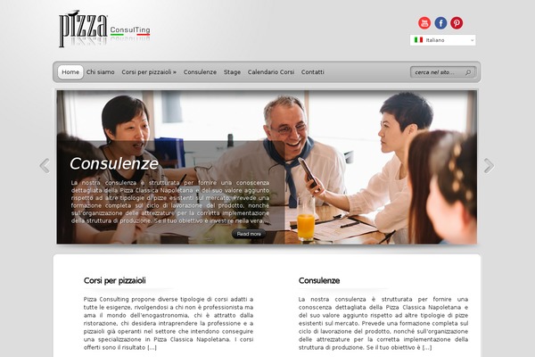 TheProfessional theme site design template sample