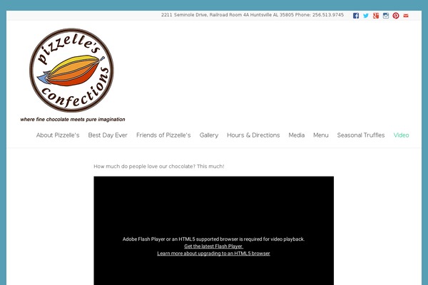 Spacious Pro theme site design template sample