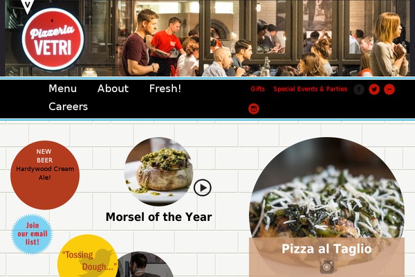 vetri-master theme websites examples