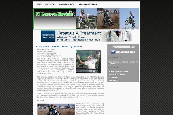 Indore theme site design template sample