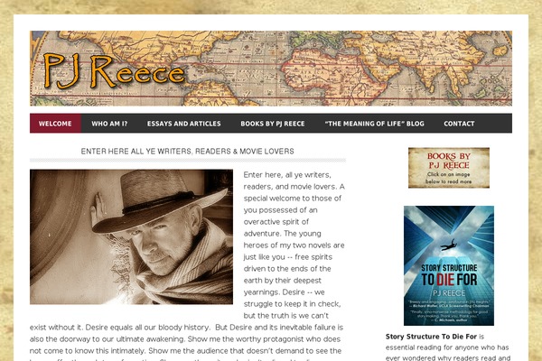 Metro Pro theme site design template sample