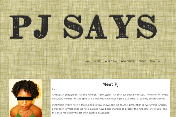Site using Coming Soon Page & Maintenance Mode by SeedProd plugin
