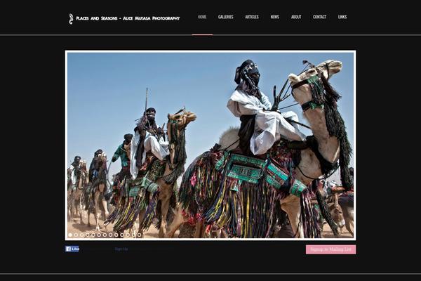 Almera theme site design template sample
