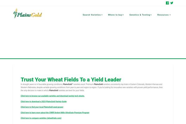 X Child theme site design template sample