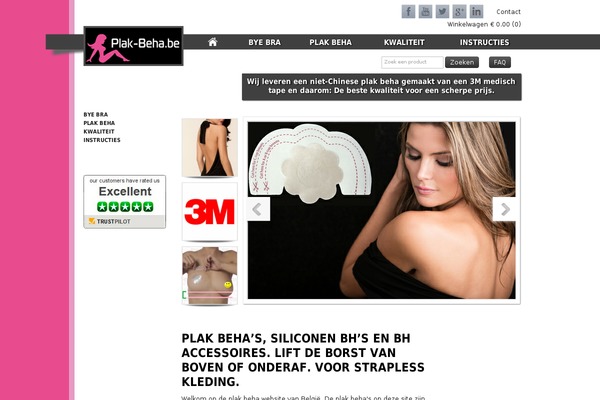 Site using Wp-swiper plugin