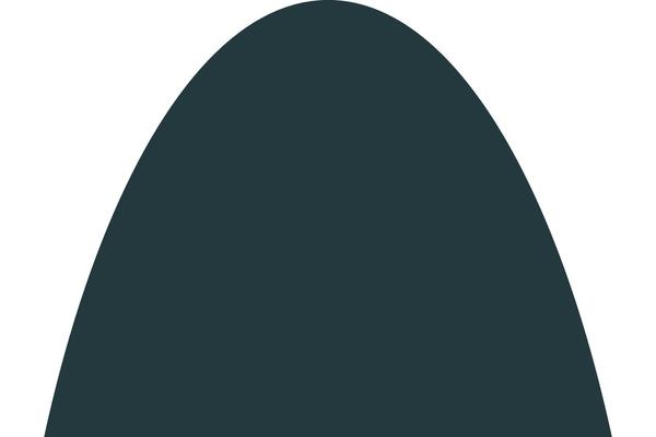 Site using Elfsight-instashow plugin