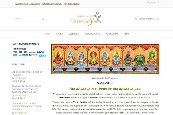 Site using Social Media Icons Widget plugin