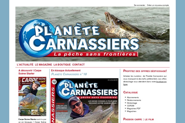 Catch Box theme site design template sample
