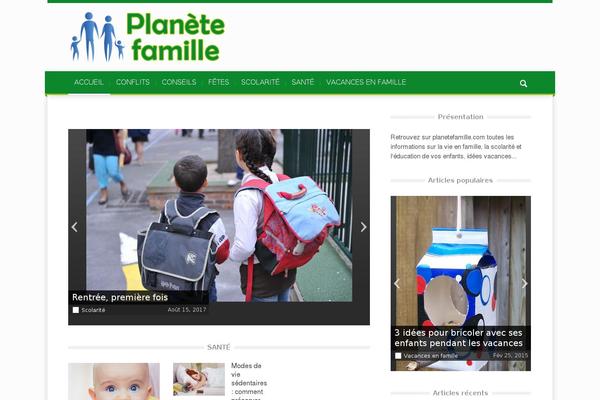 Magazin theme site design template sample